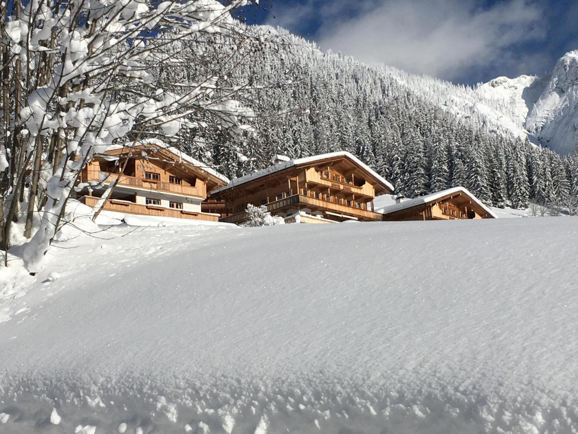 Haus Fernwald Top Jill アルプバッハ エクステリア 写真